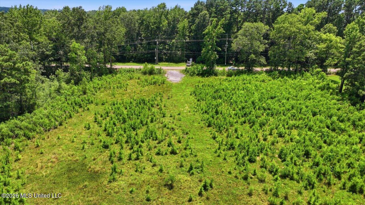 Luckney Road Property Photo 3