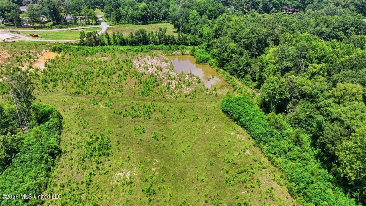 Luckney Road Property Photo 21