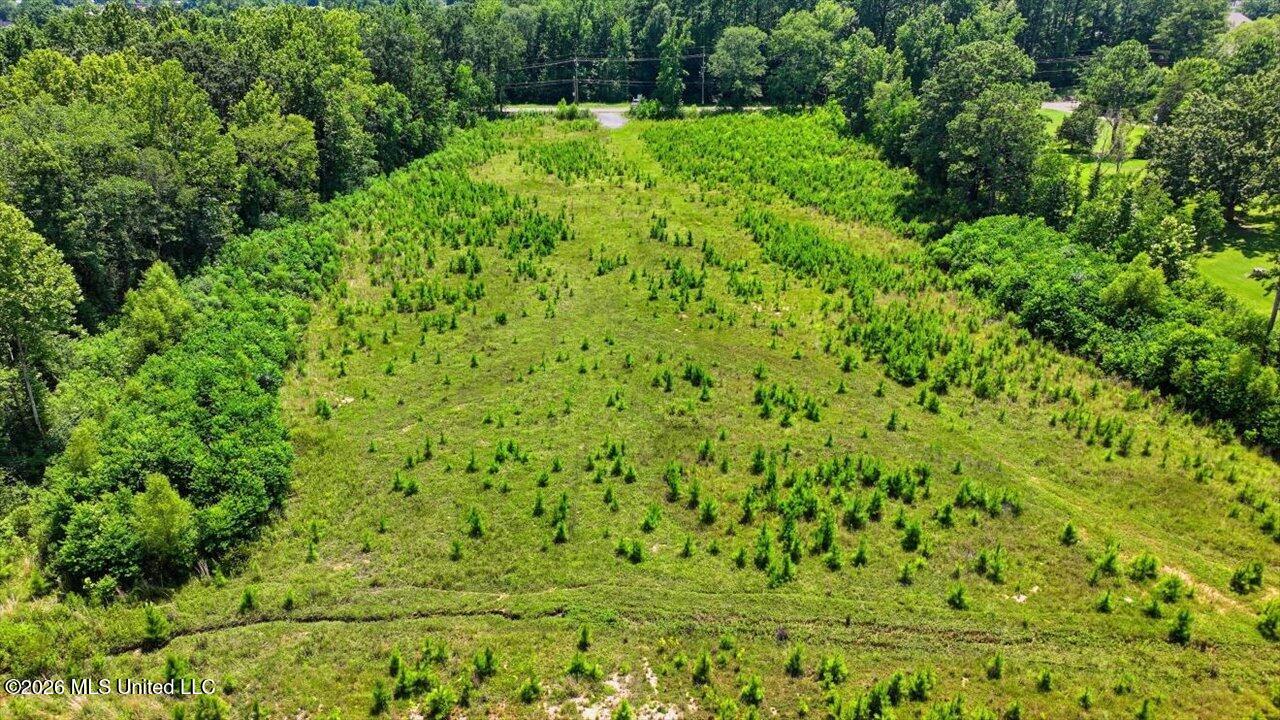 Luckney Road Property Photo 30