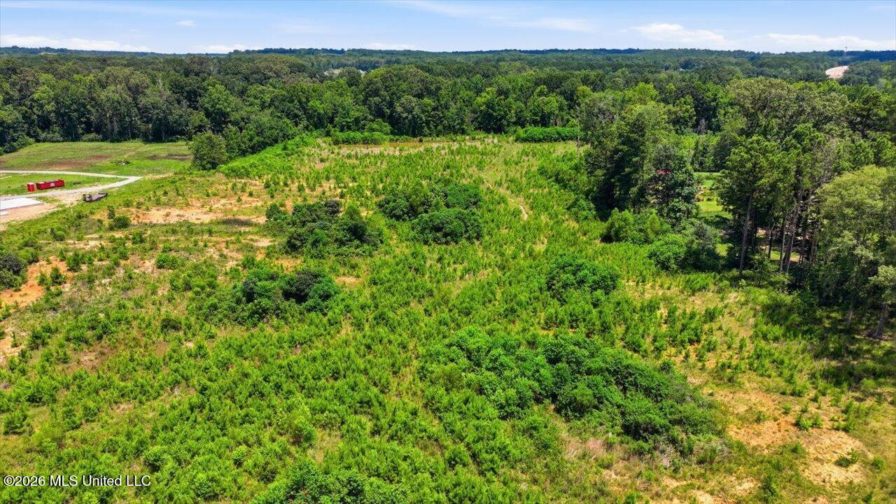 Luckney Road Property Photo 32