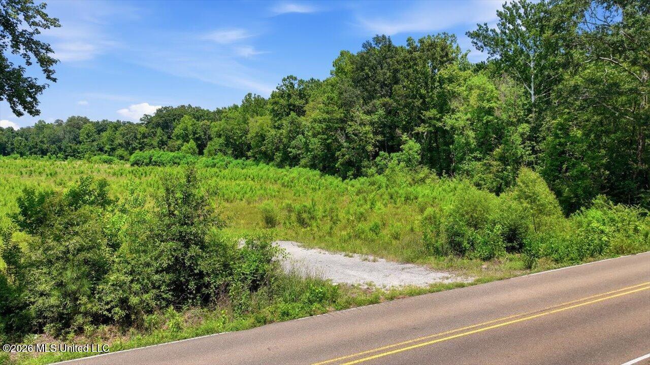 Luckney Road Property Photo 38