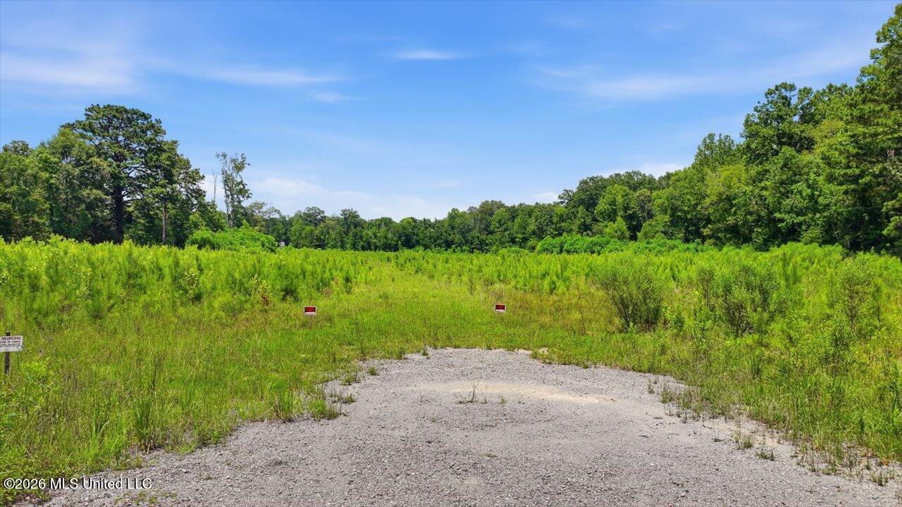 Luckney Road Property Photo 39