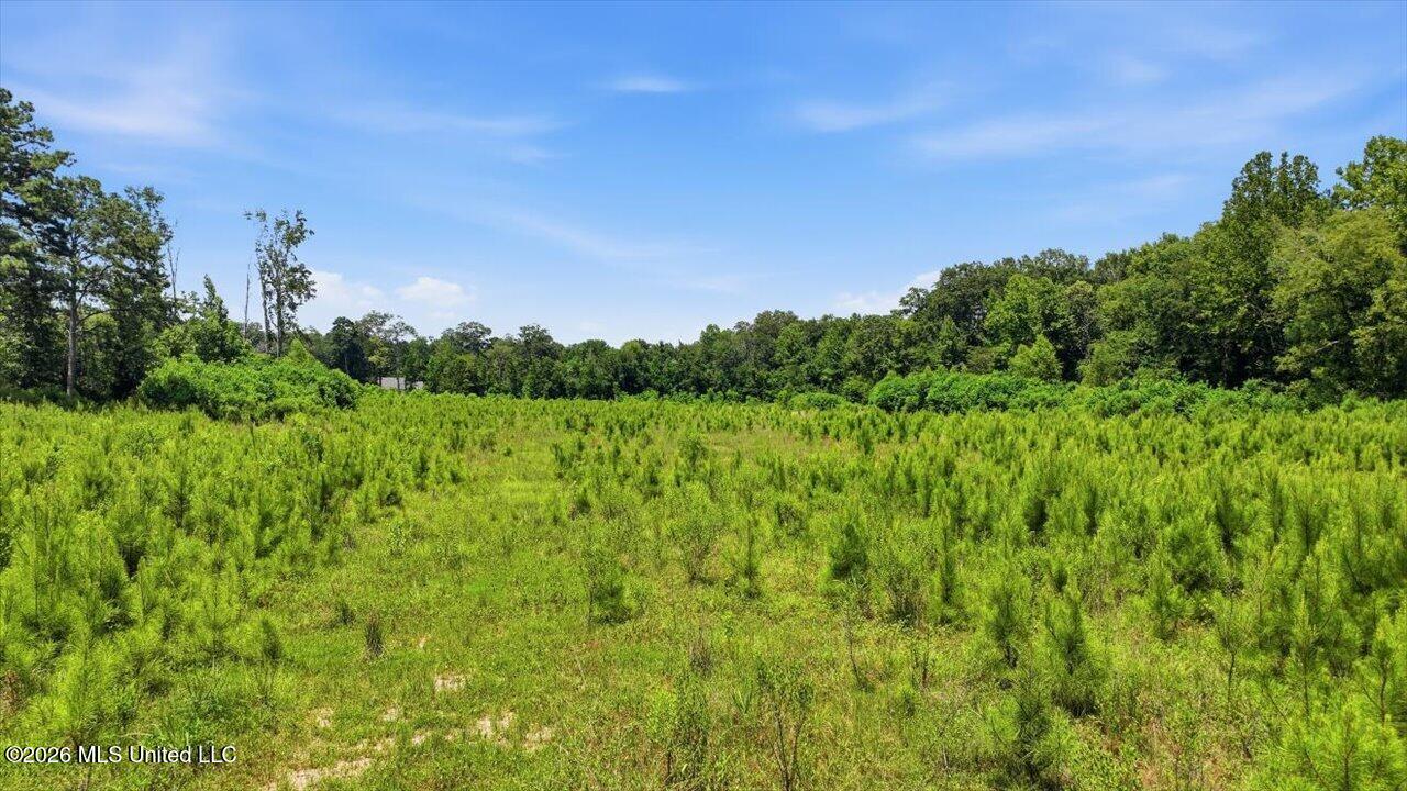 Luckney Road Property Photo 40