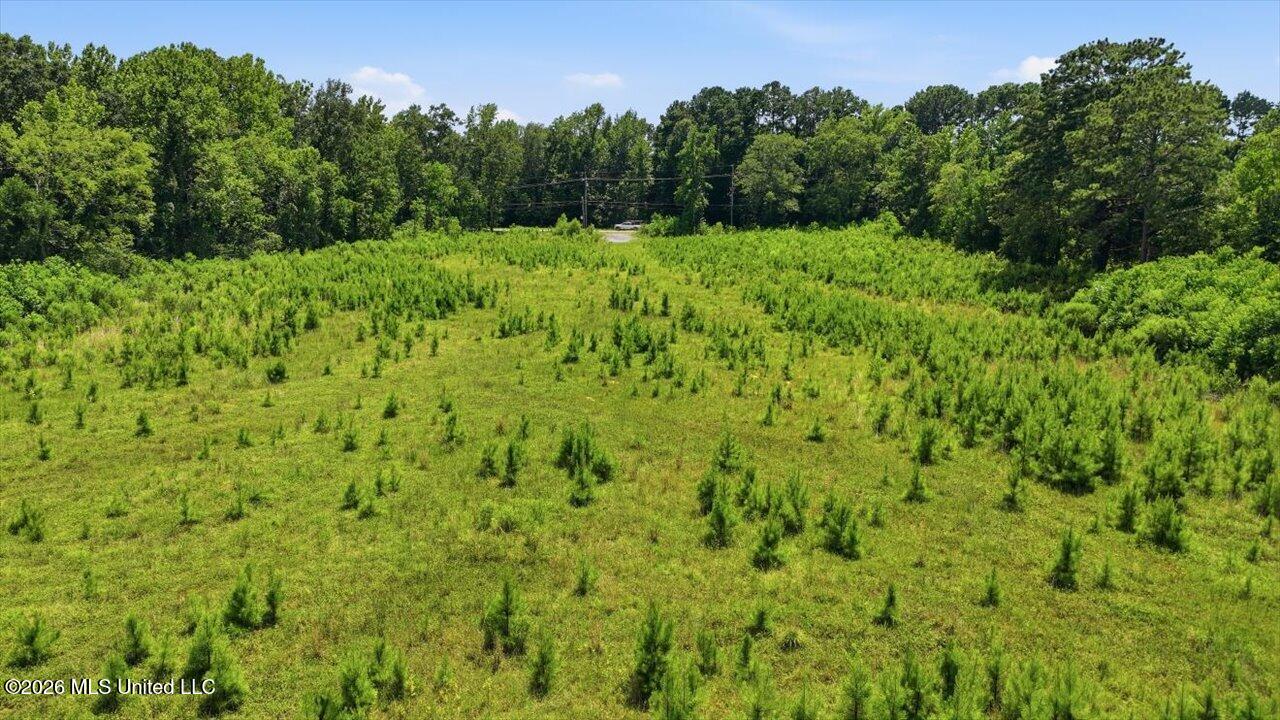 Luckney Road Property Photo 43