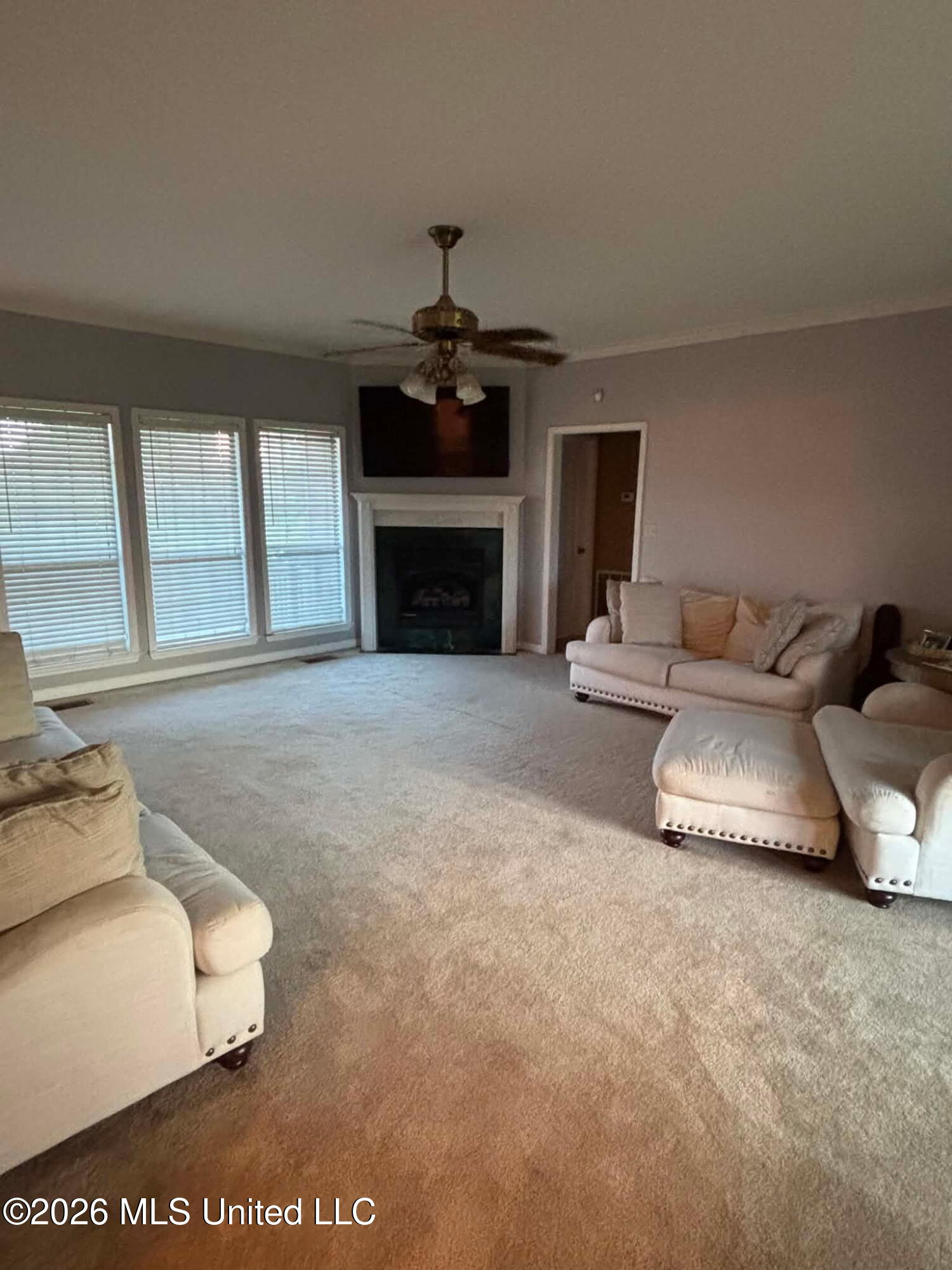 101 Tena Cove Property Photo 3