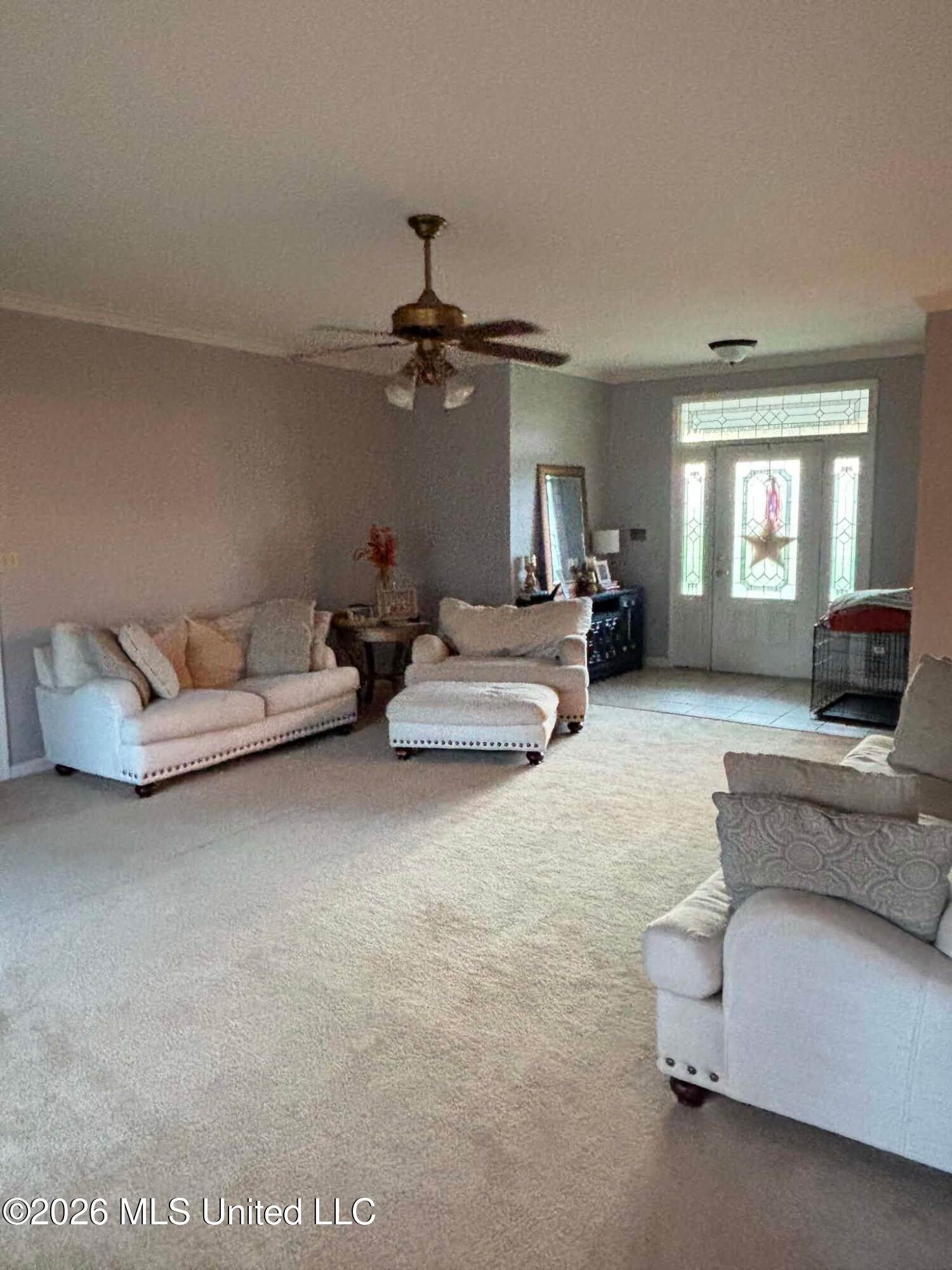 101 Tena Cove Property Photo 4