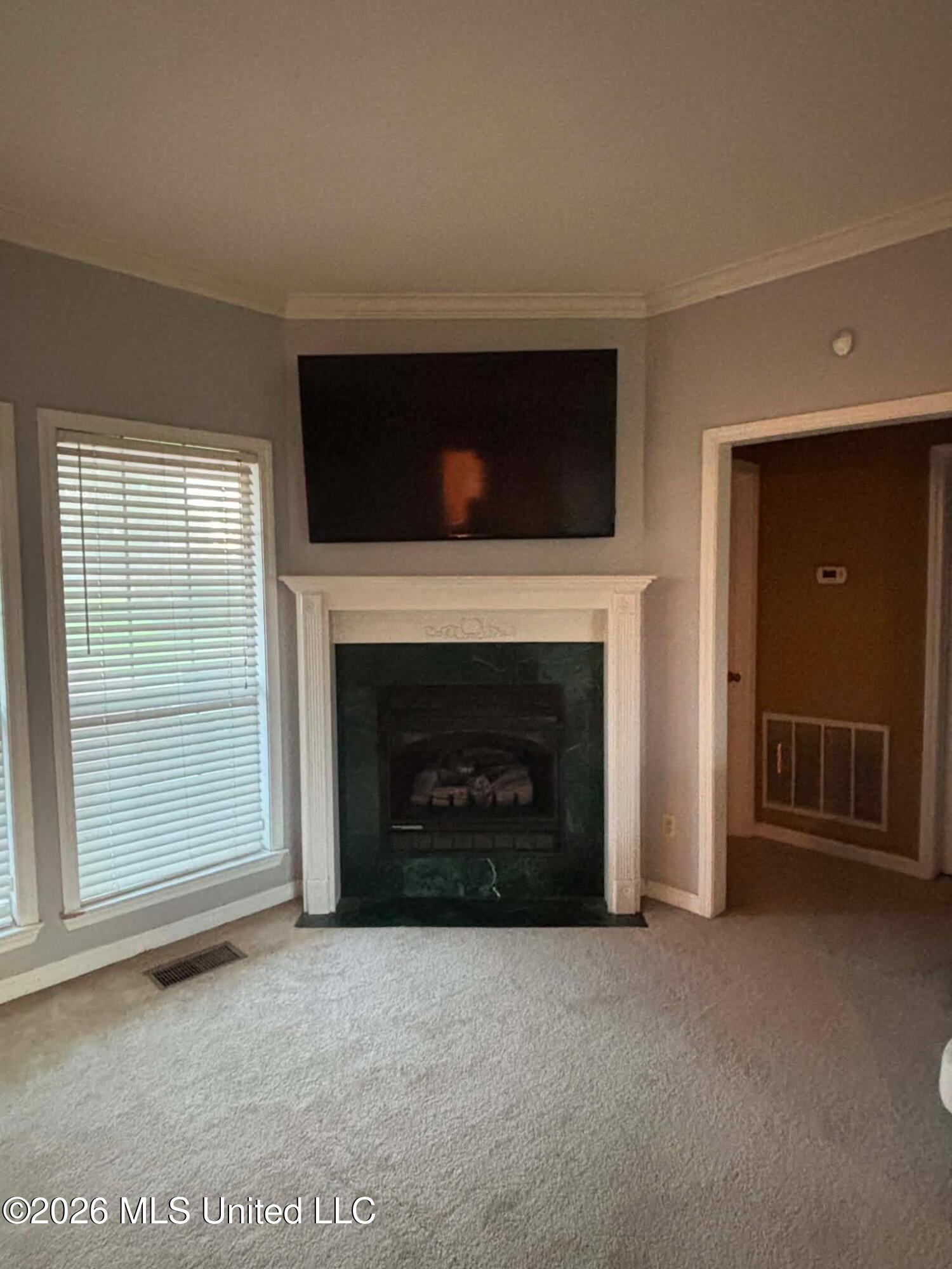 101 Tena Cove Property Photo 5