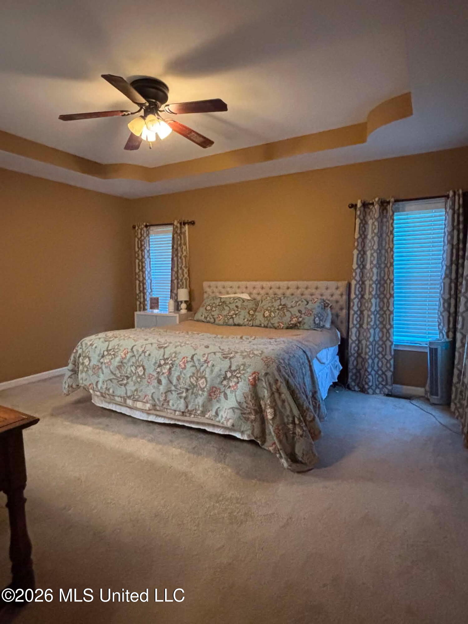 101 Tena Cove Property Photo 10
