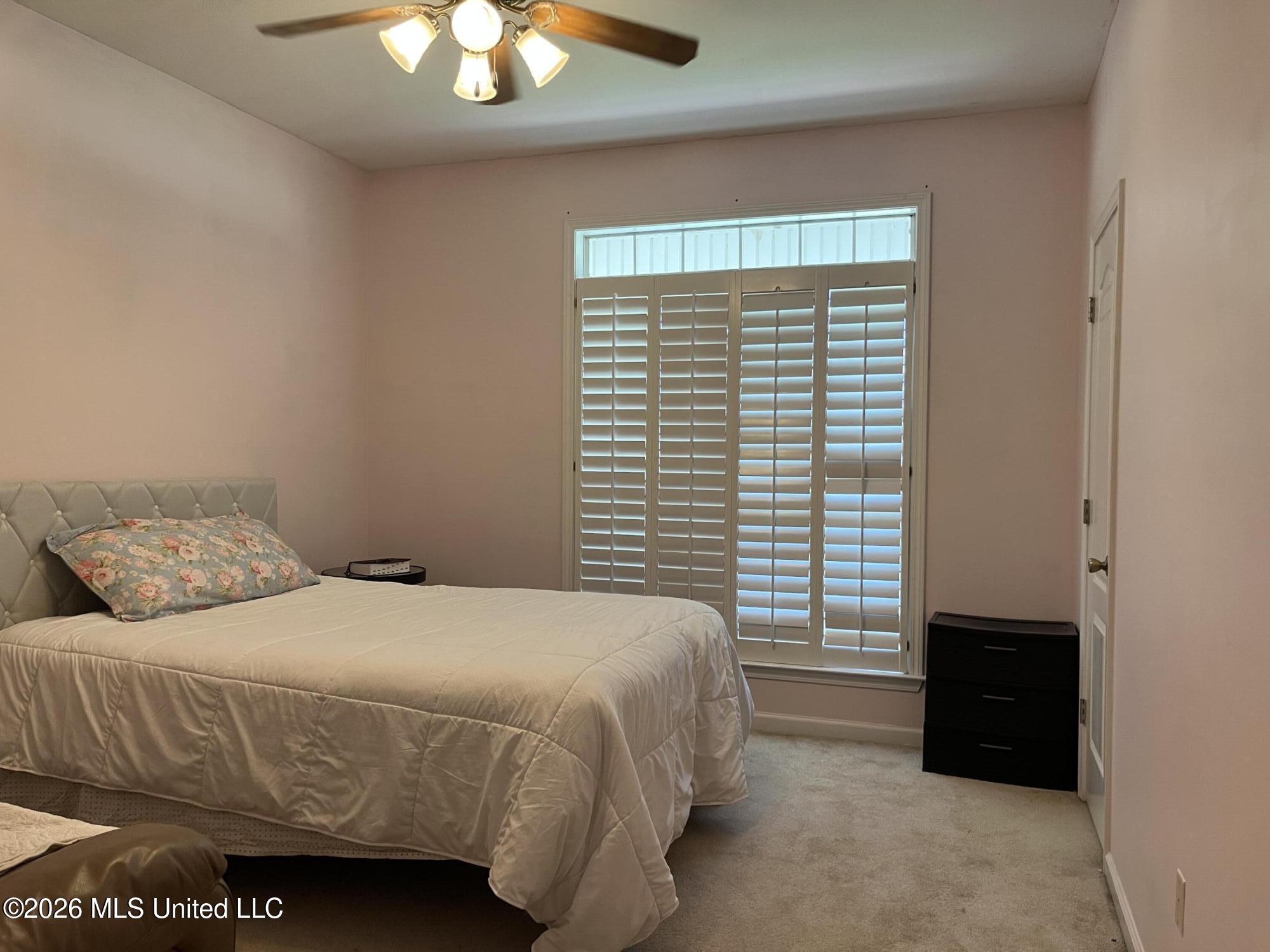 101 Tena Cove Property Photo 16