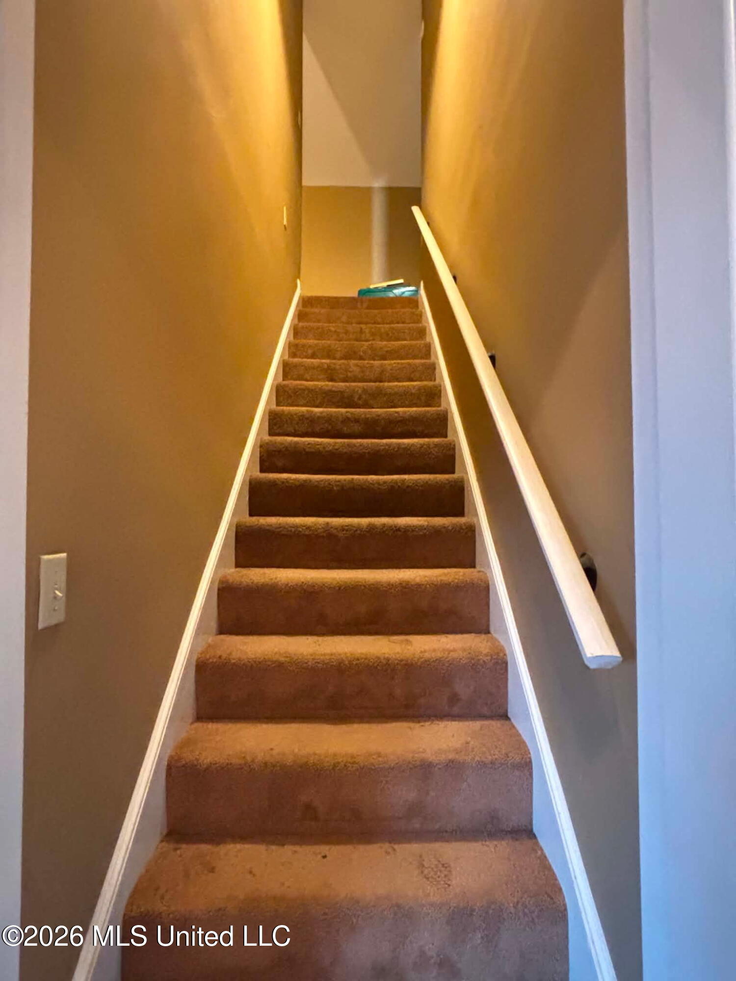101 Tena Cove Property Photo 17