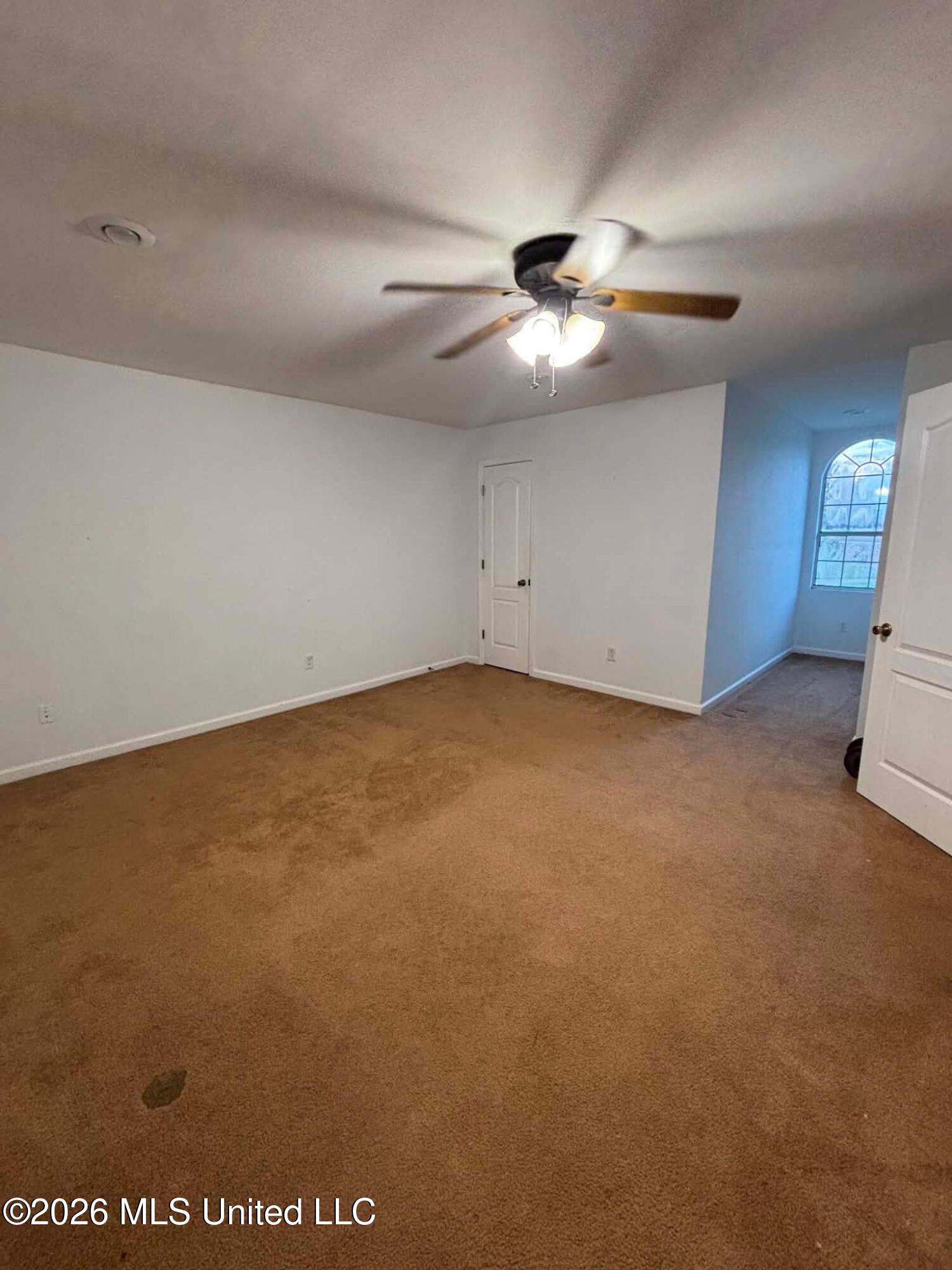 101 Tena Cove Property Photo 20