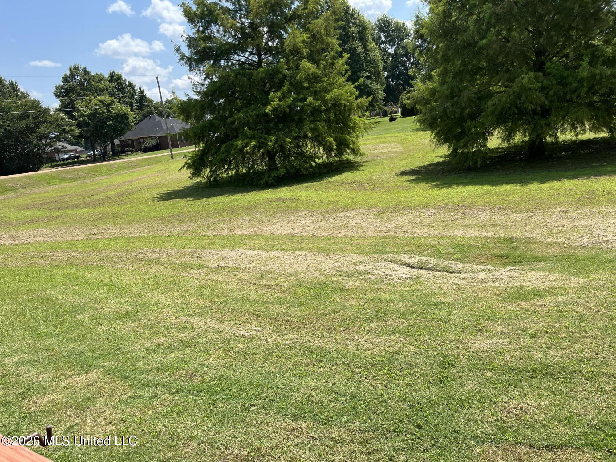 101 Tena Cove Property Photo 25