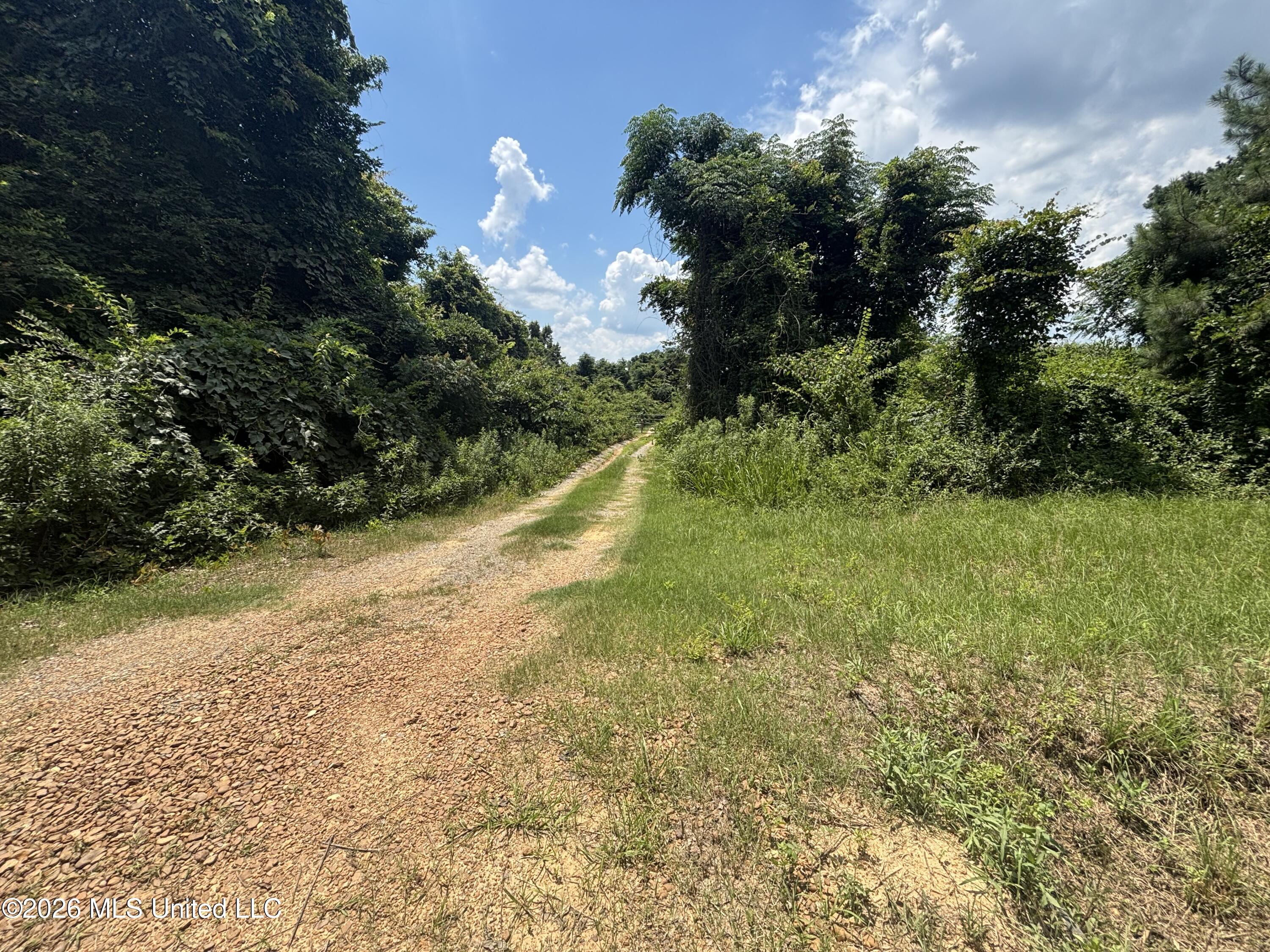 Firetower Road Property Photo 1