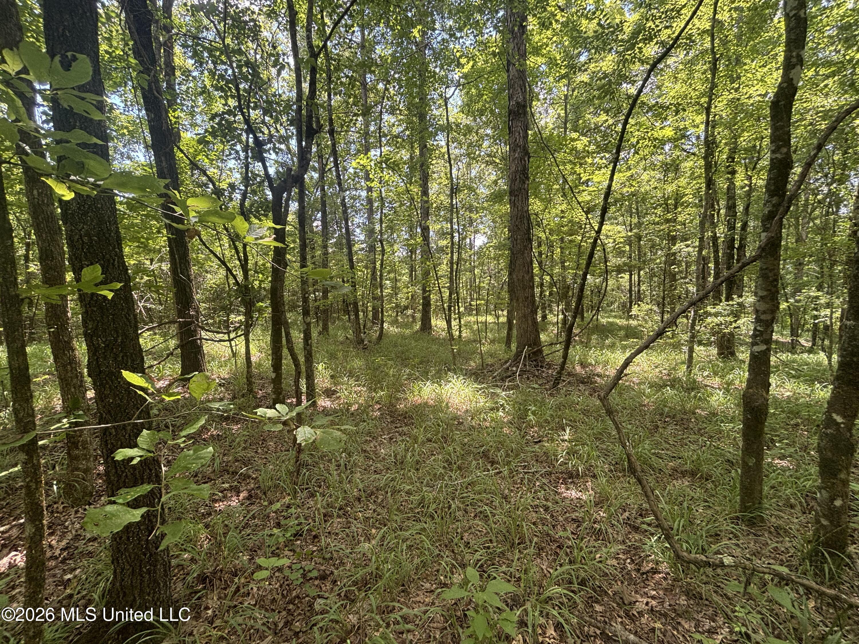 Firetower Road Property Photo 5