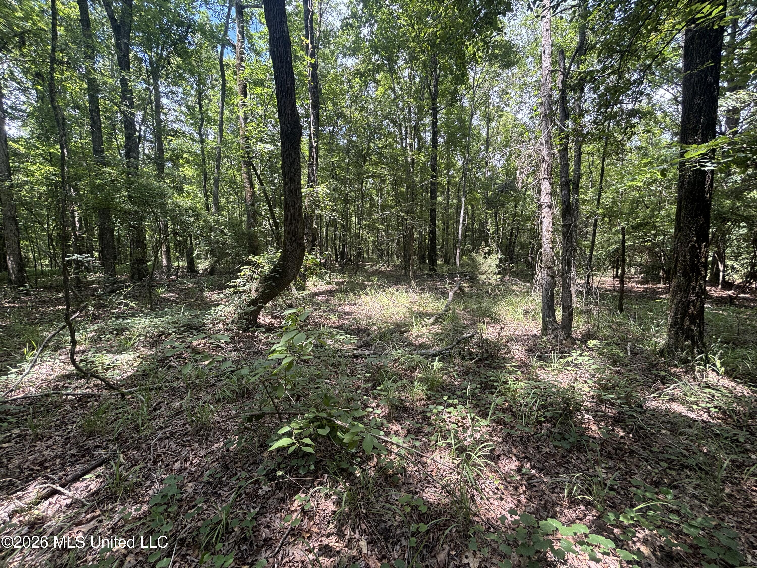 Firetower Road Property Photo 7