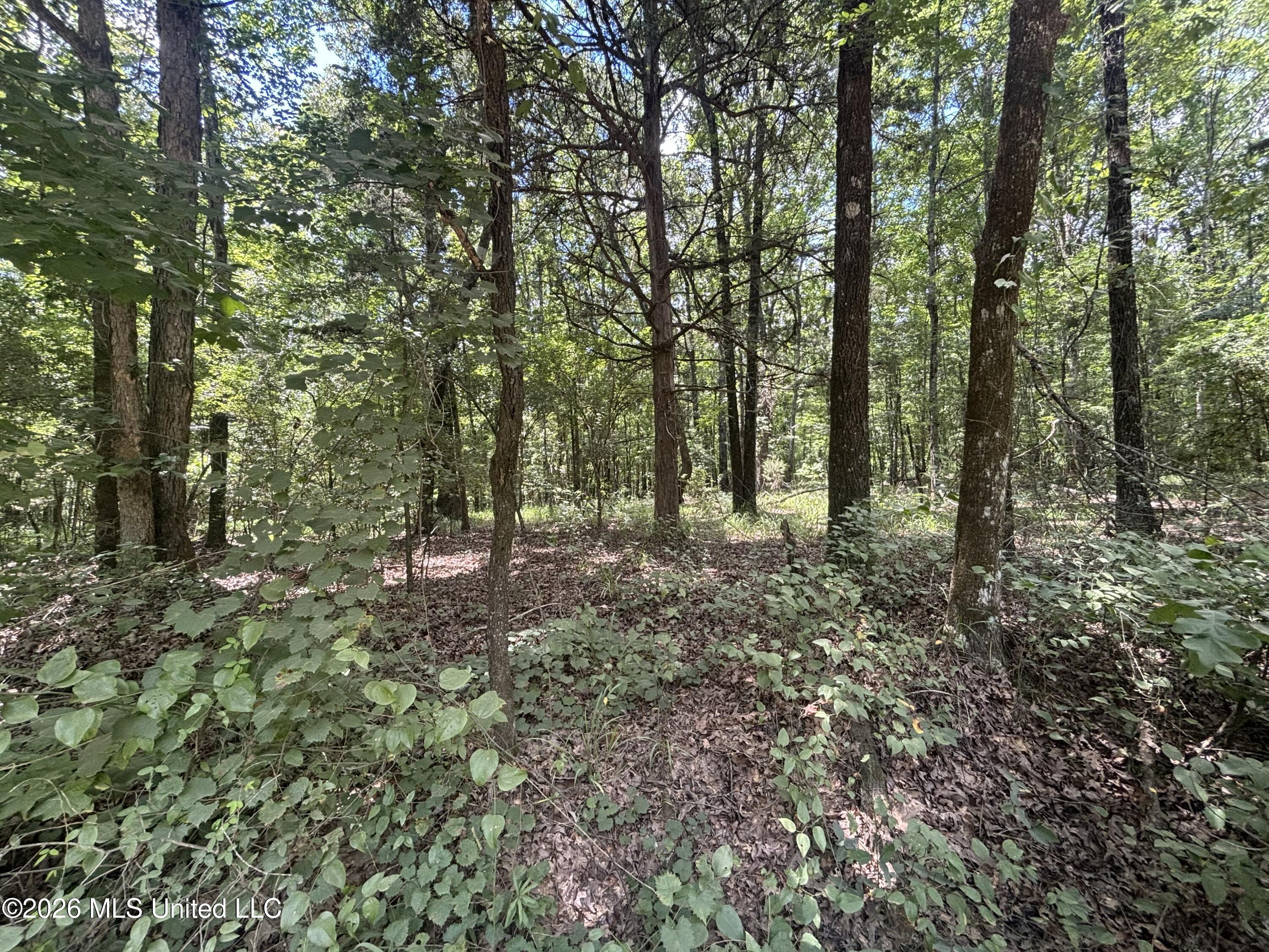 Firetower Road Property Photo 8