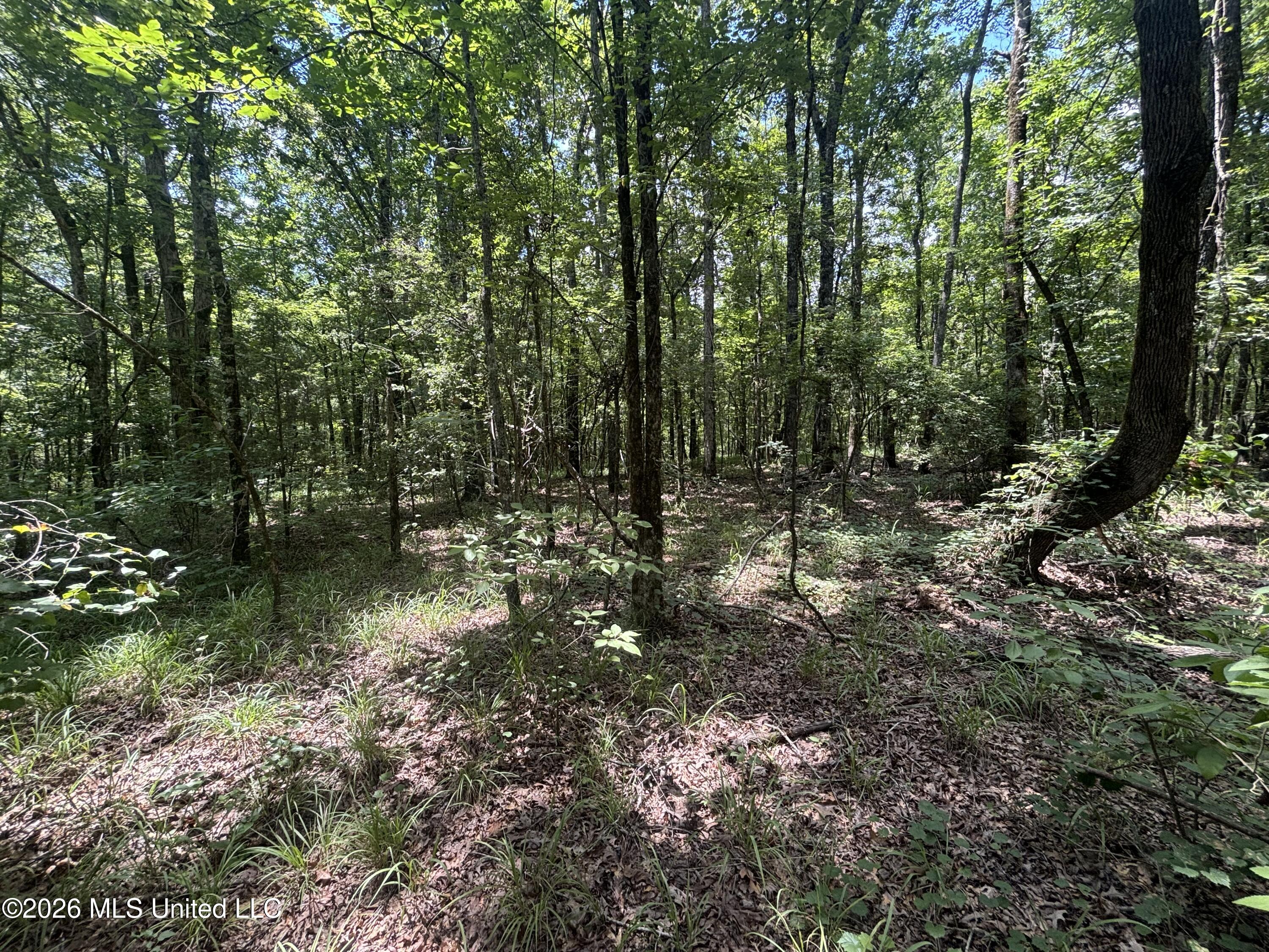 Firetower Road Property Photo 10