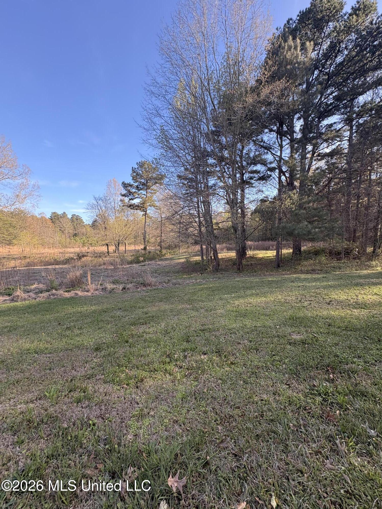 337 J C Prestage Road Property Photo 6