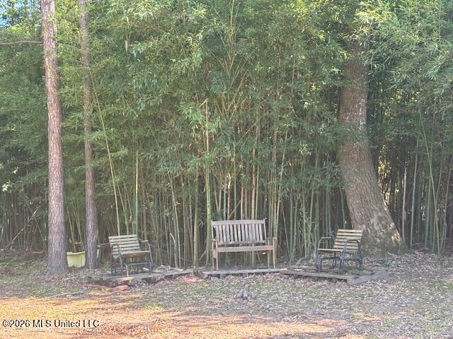 Memory Lane Property Photo 2
