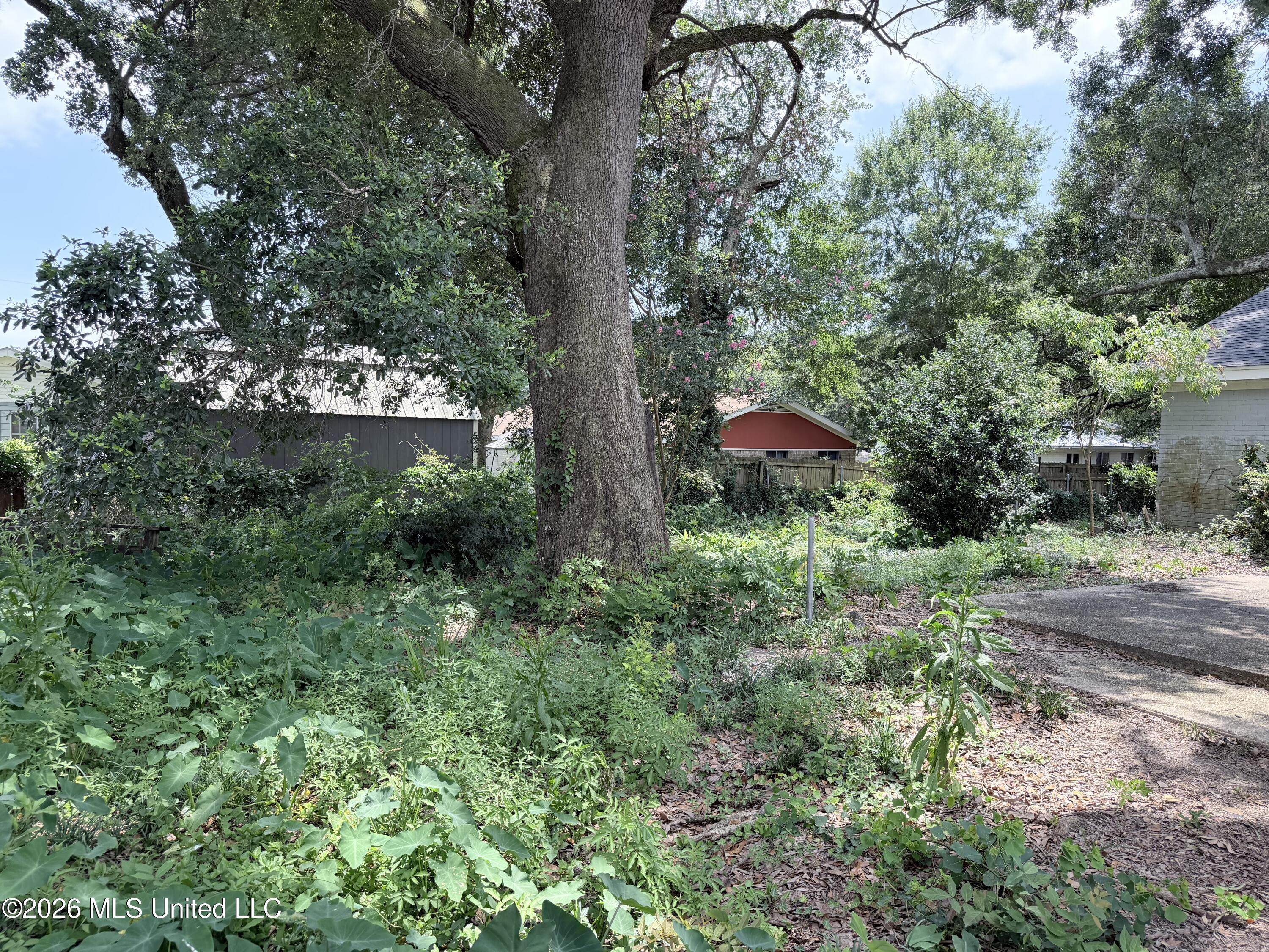 11065 E Dogwood Drive Property Photo 5