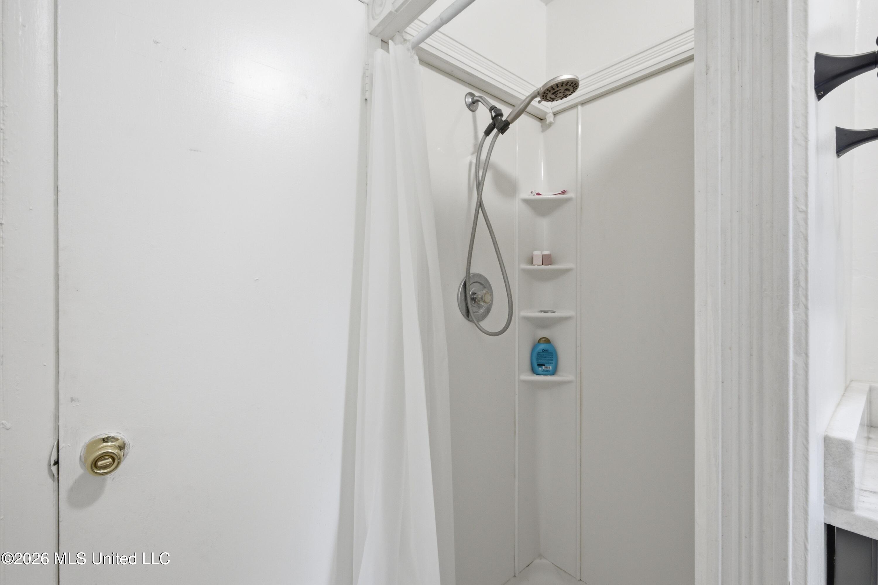 454 Snow Lake Drive Property Photo 14