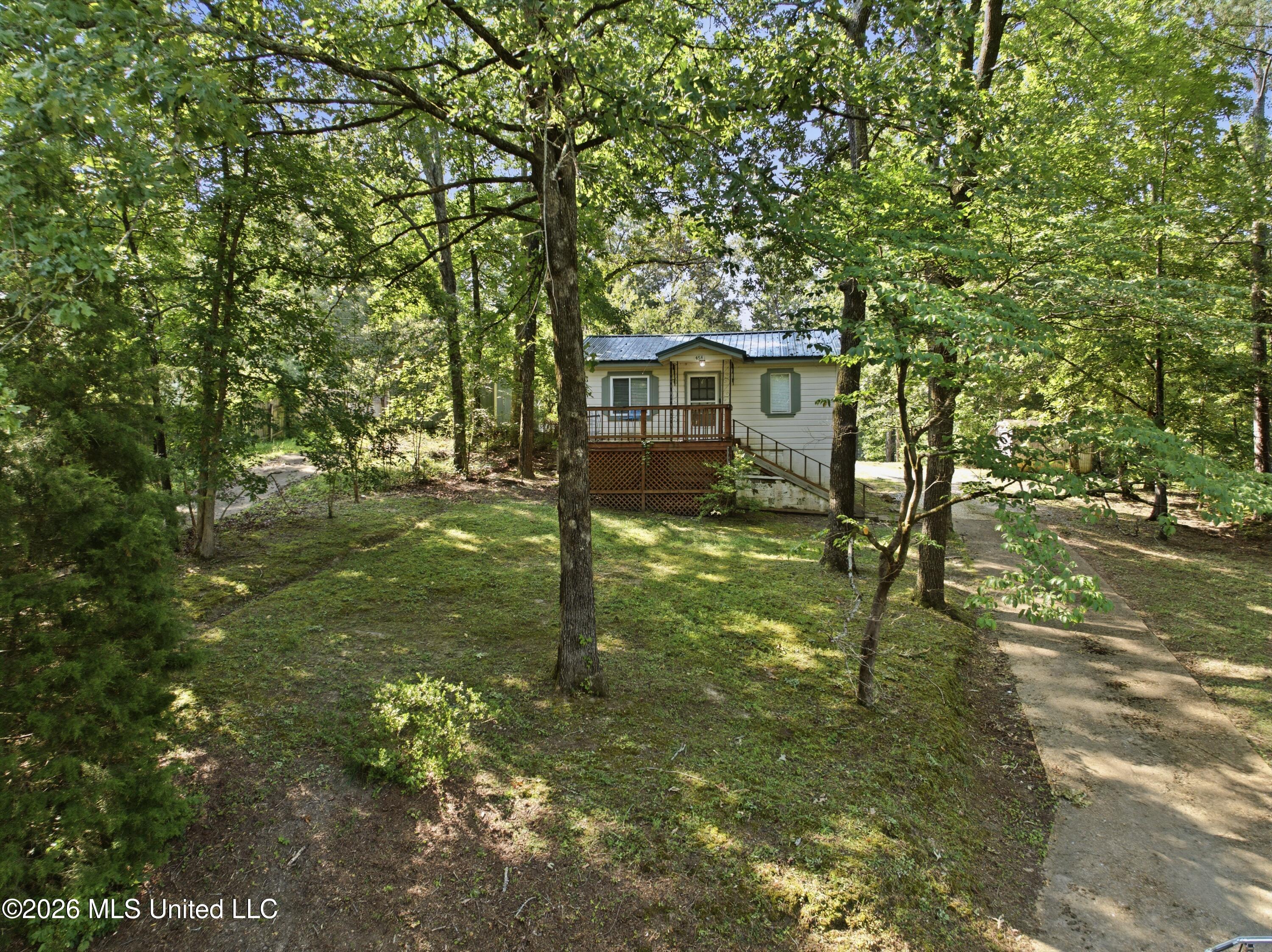 454 Snow Lake Drive Property Photo 16