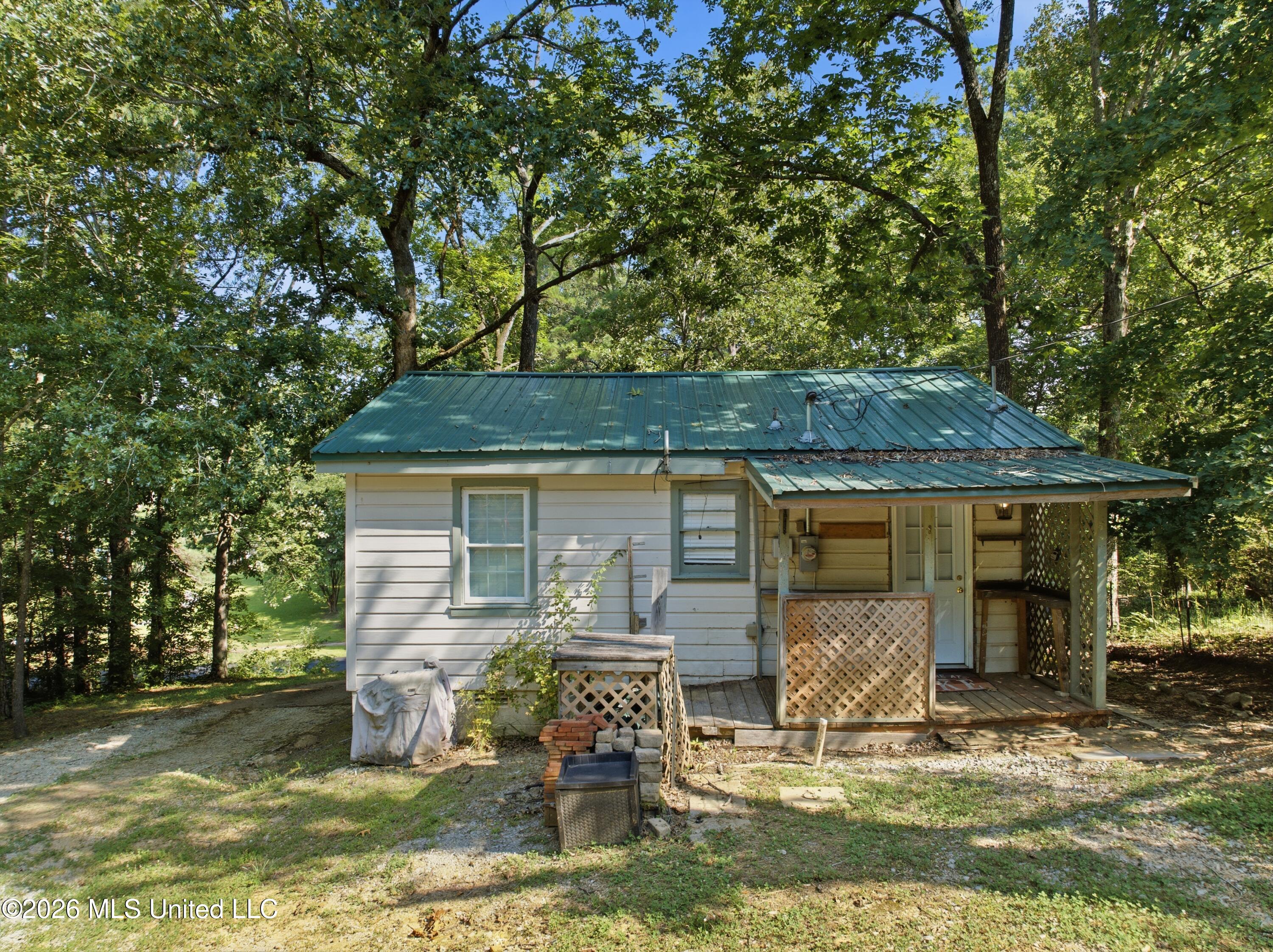 454 Snow Lake Drive Property Photo 22