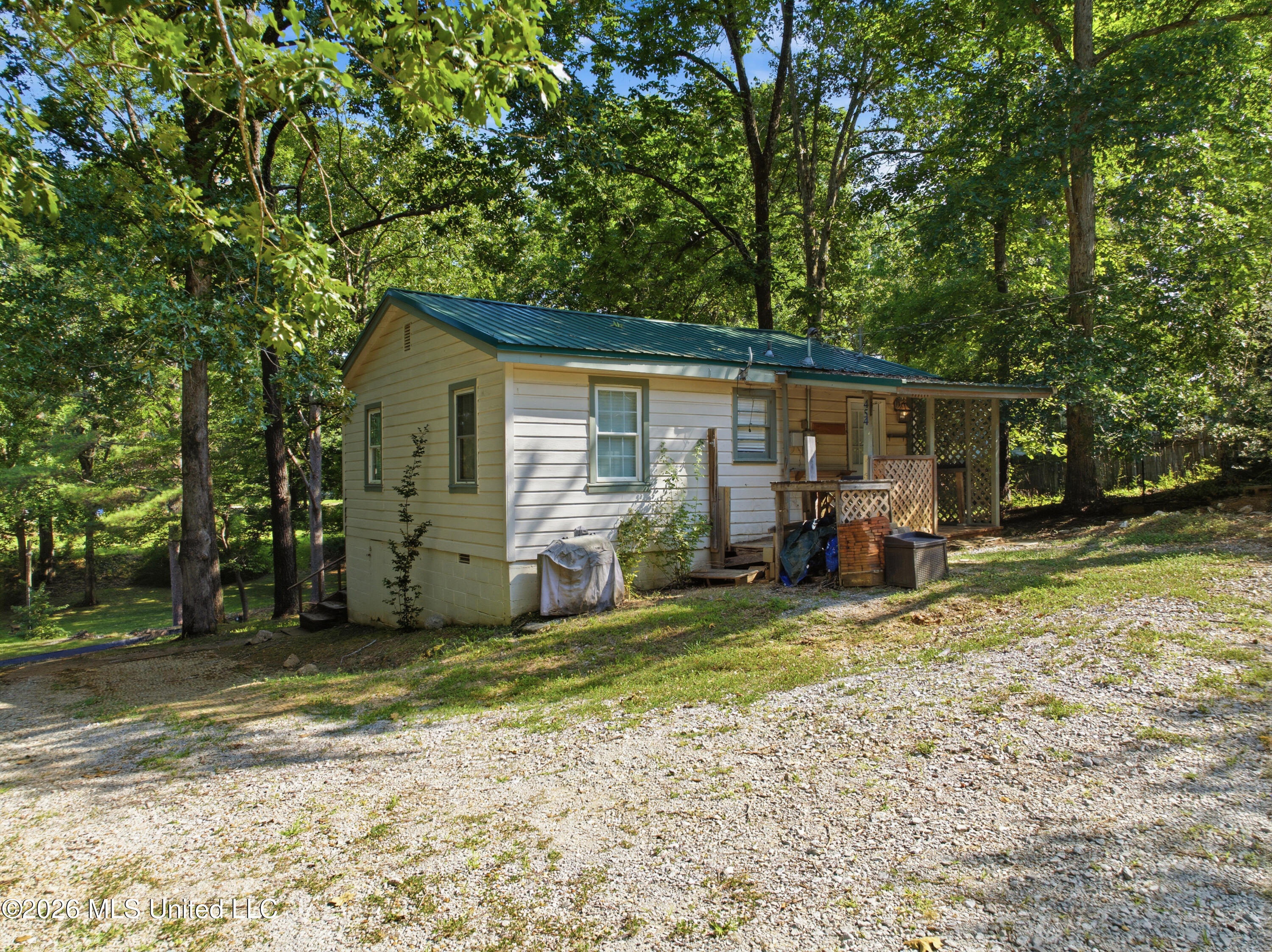 454 Snow Lake Drive Property Photo 29
