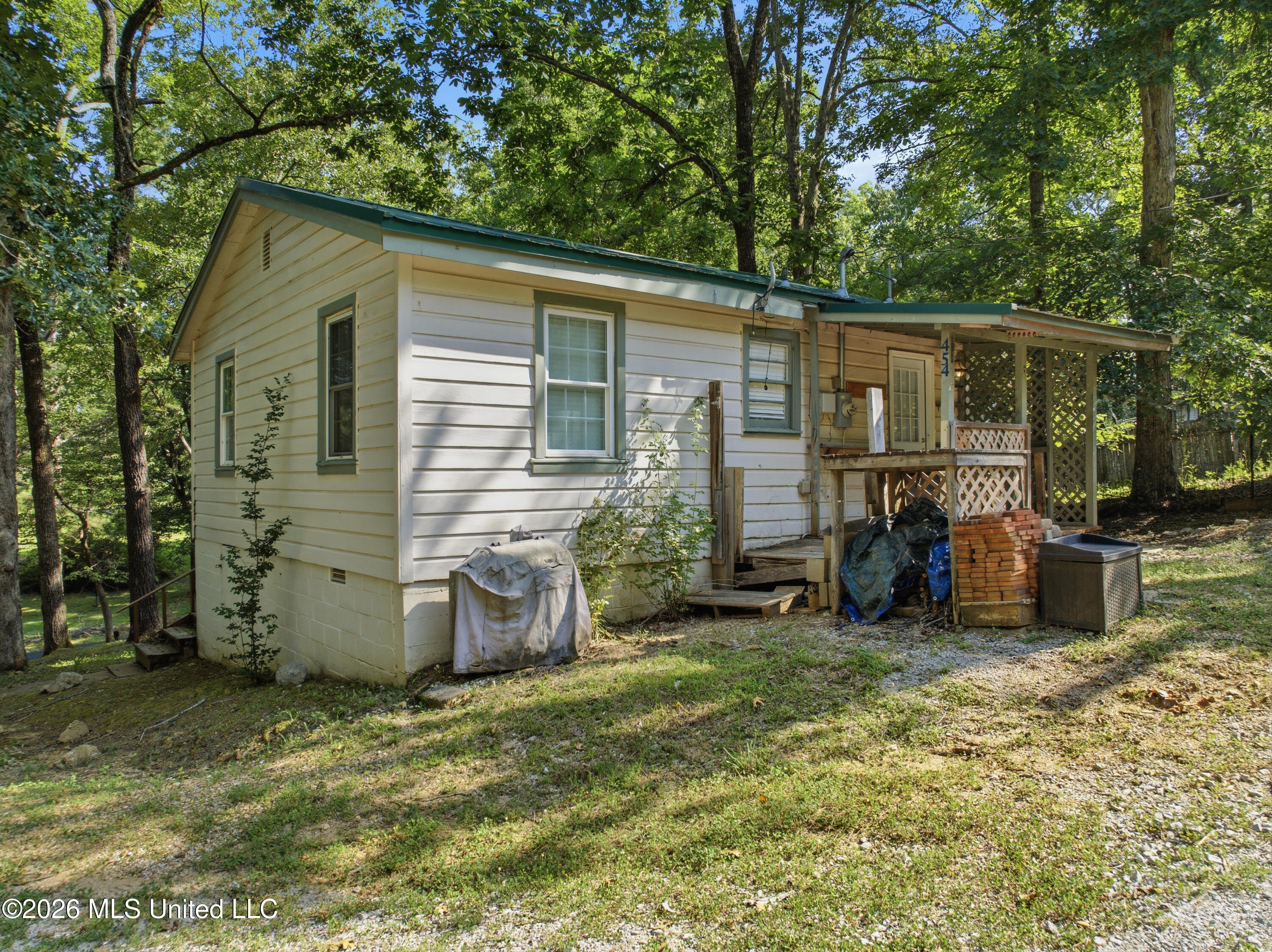 454 Snow Lake Drive Property Photo 31