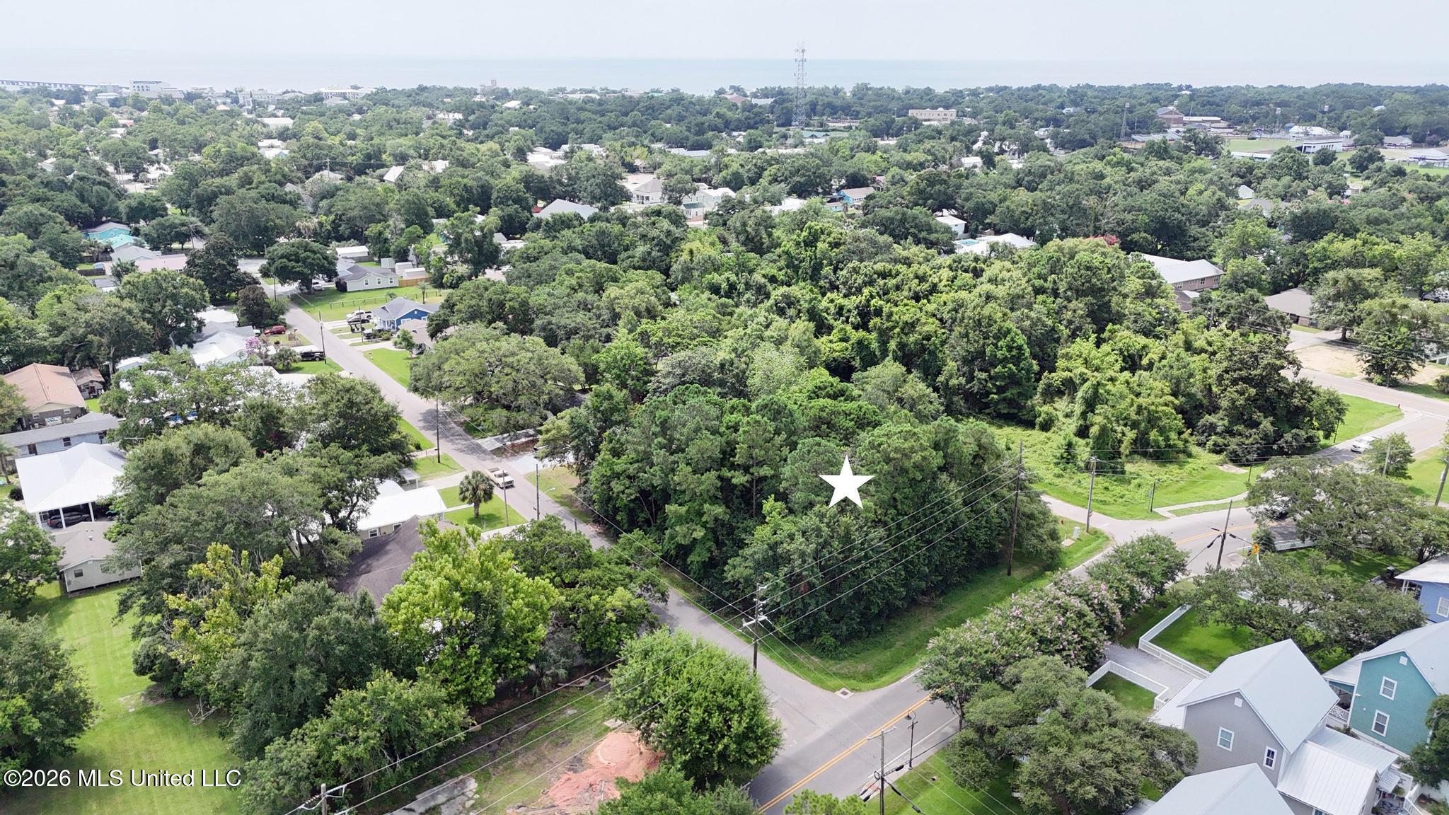 Demontluzin Avenue Property Photo 2