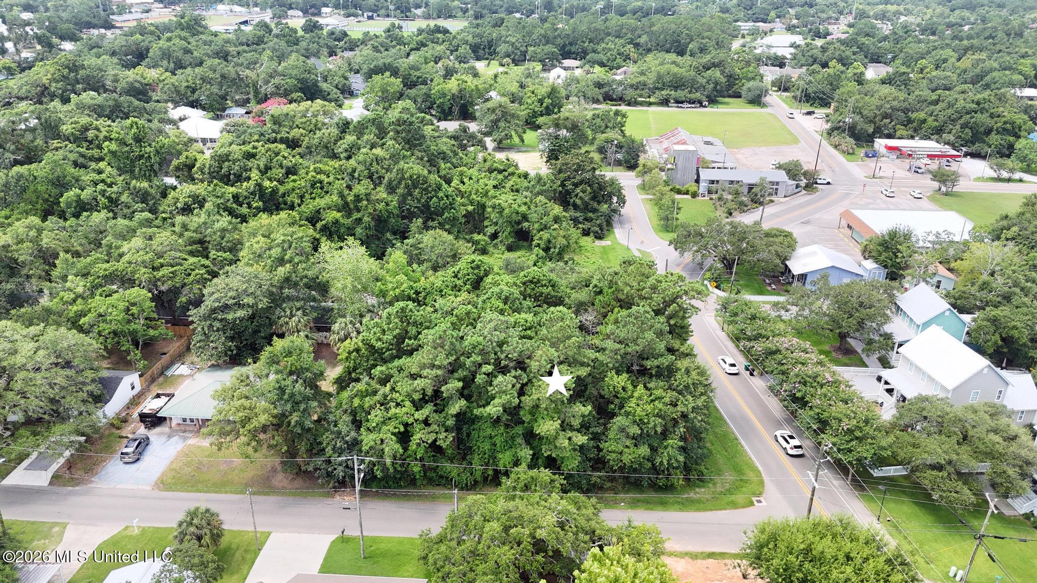 Demontluzin Avenue Property Photo 3