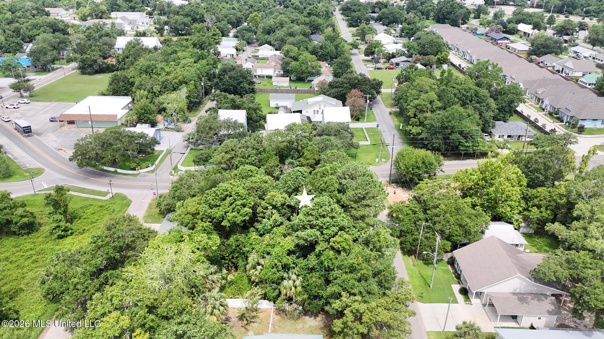 Demontluzin Avenue Property Photo 5