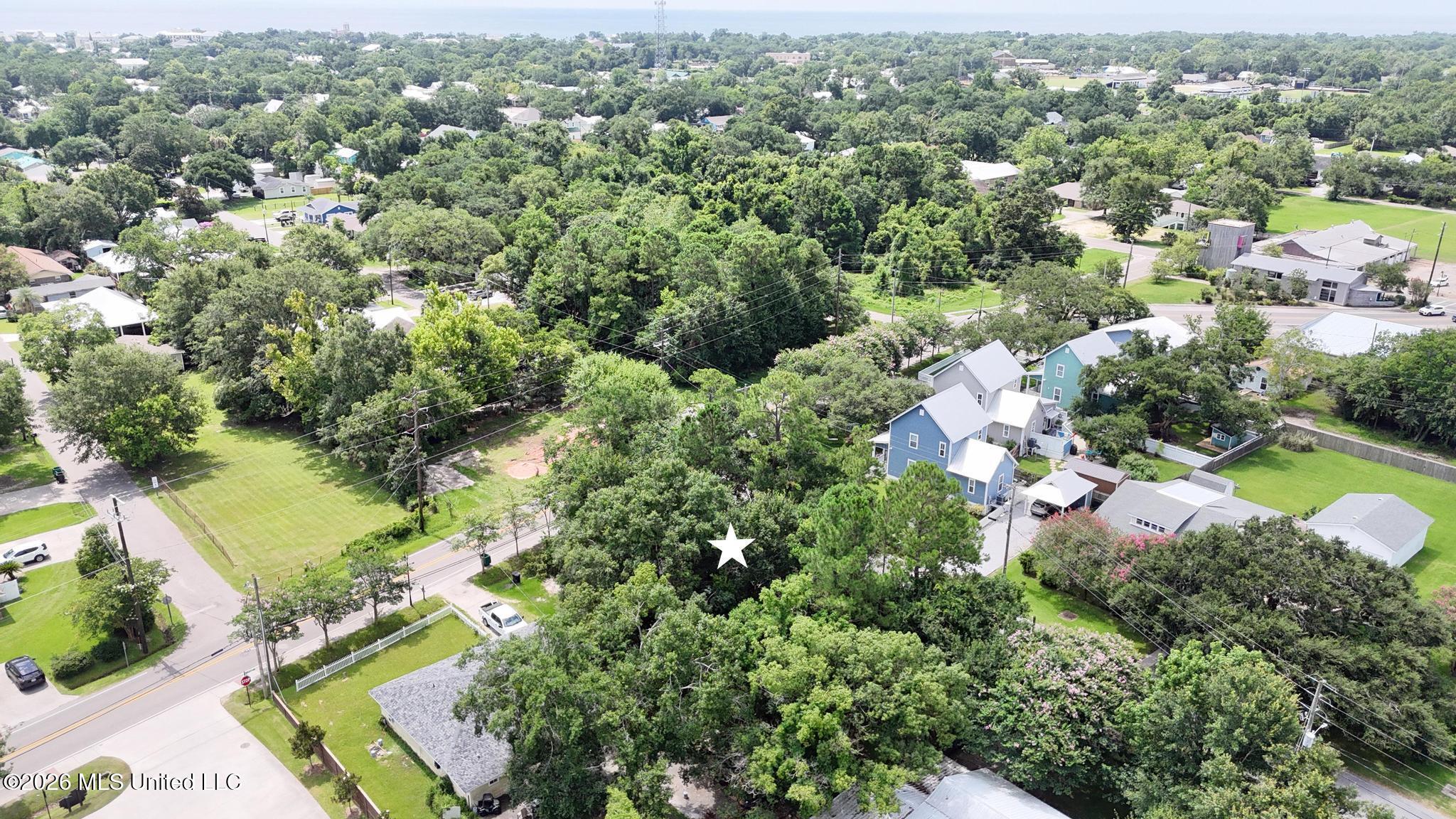 Demontluzin Avenue Property Photo 6