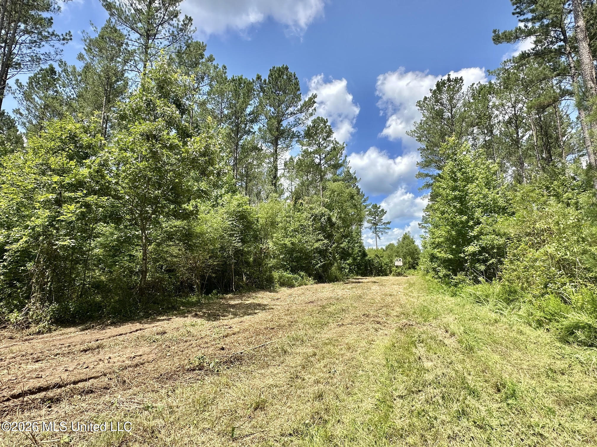Hwy 43 Highway Property Photo 3