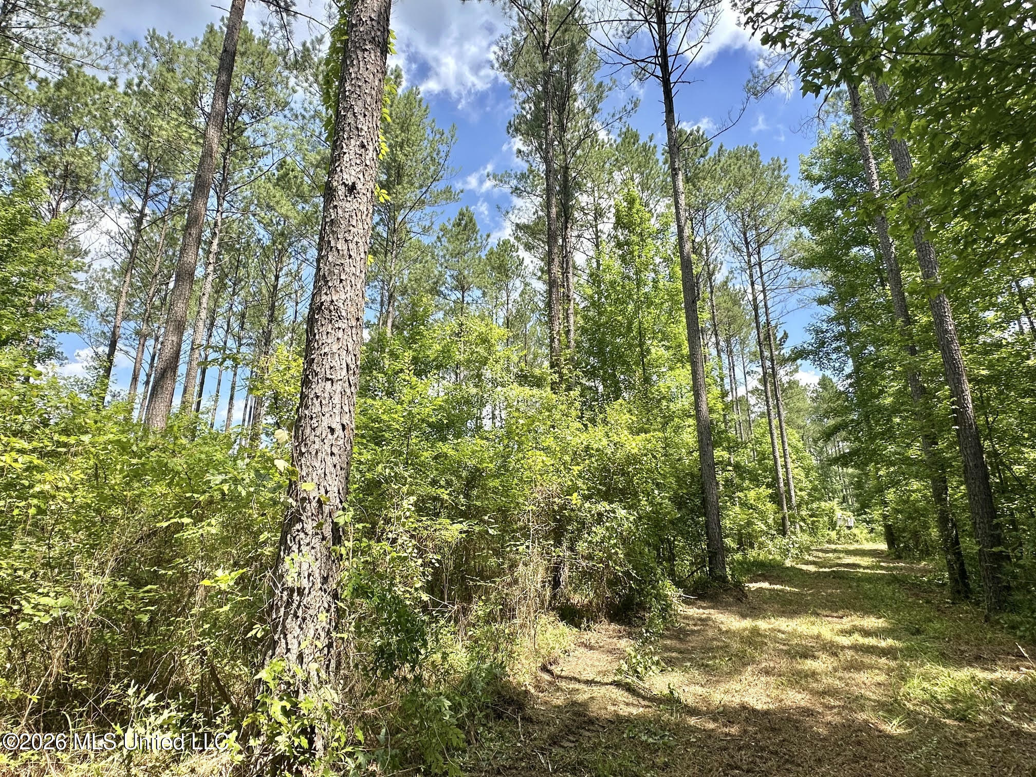 Hwy 43 Highway Property Photo 4