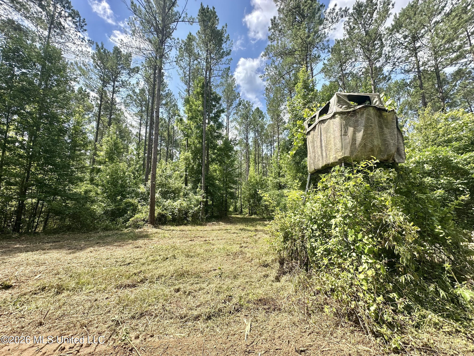 Hwy 43 Highway Property Photo 6