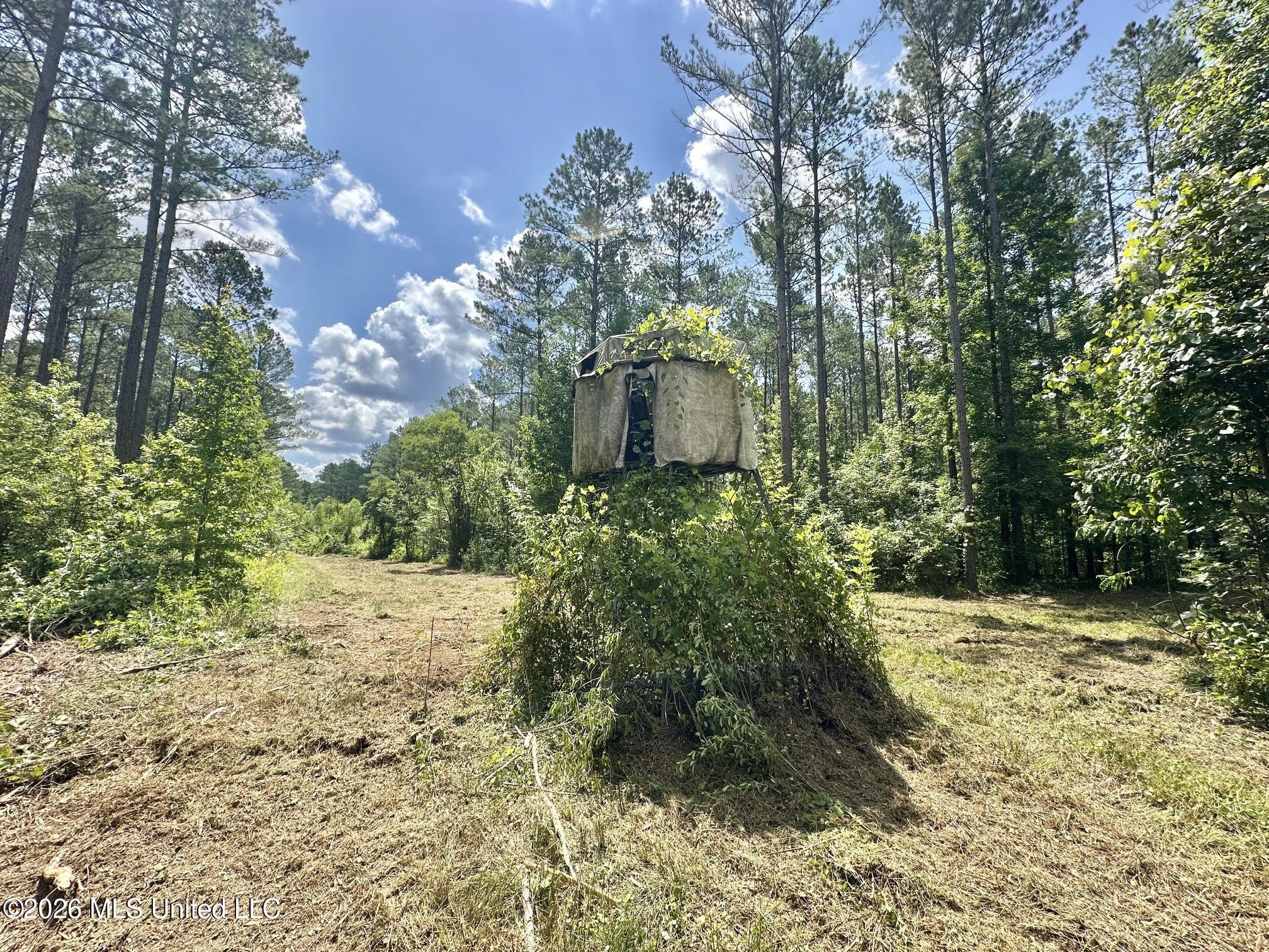 Hwy 43 Highway Property Photo 7