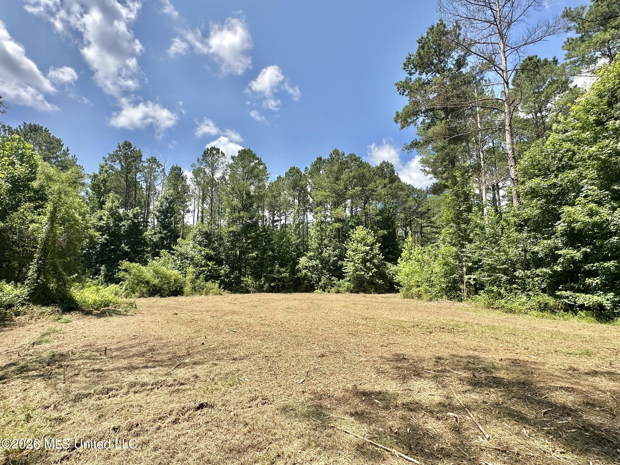 Hwy 43 Highway Property Photo 15