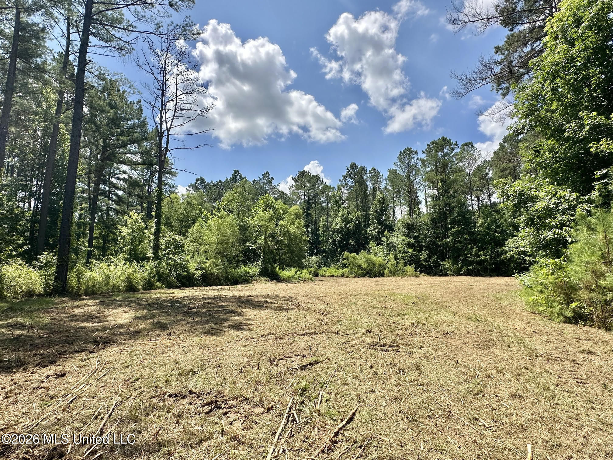 Hwy 43 Highway Property Photo 16