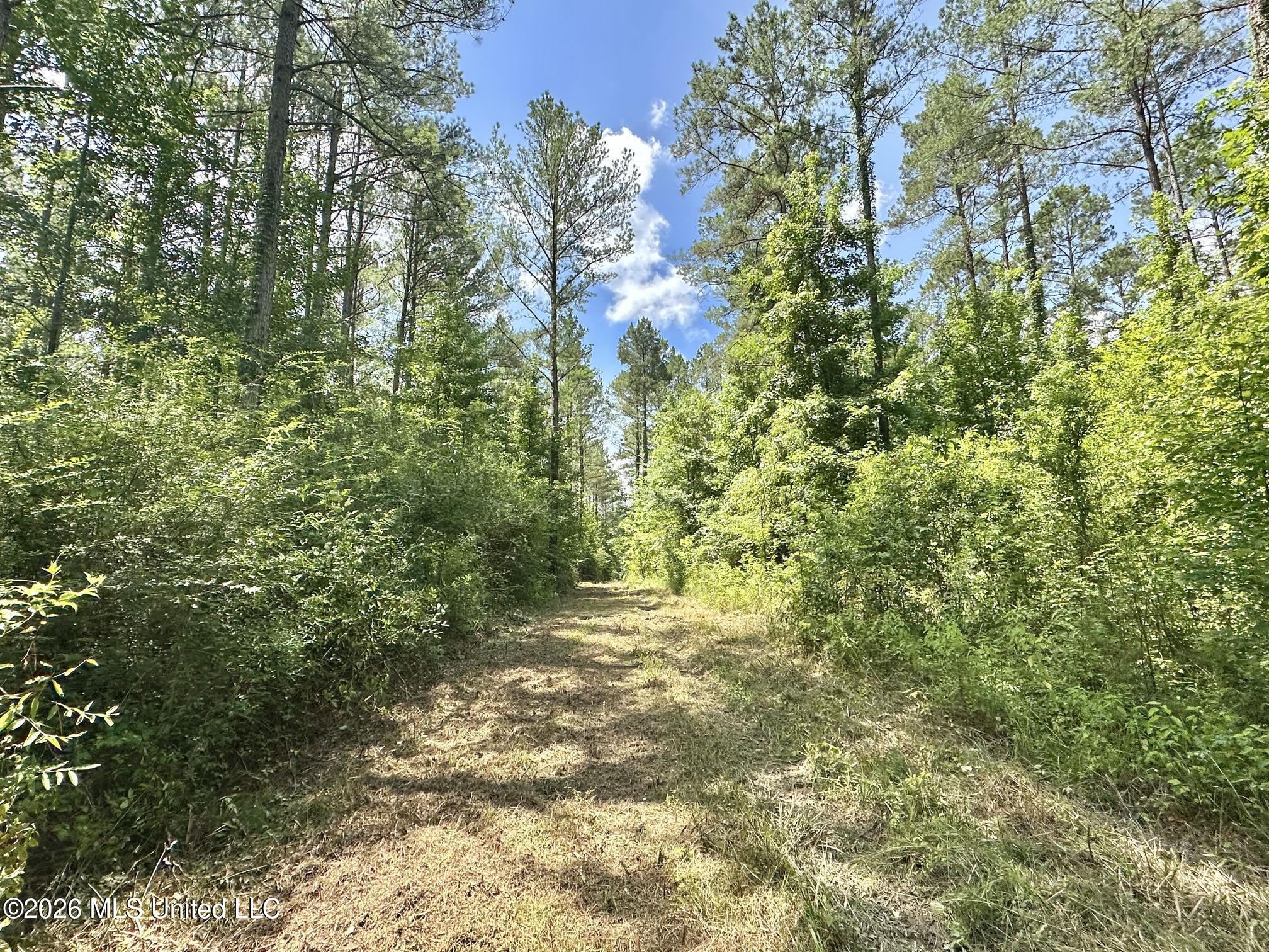 Hwy 43 Highway Property Photo 19