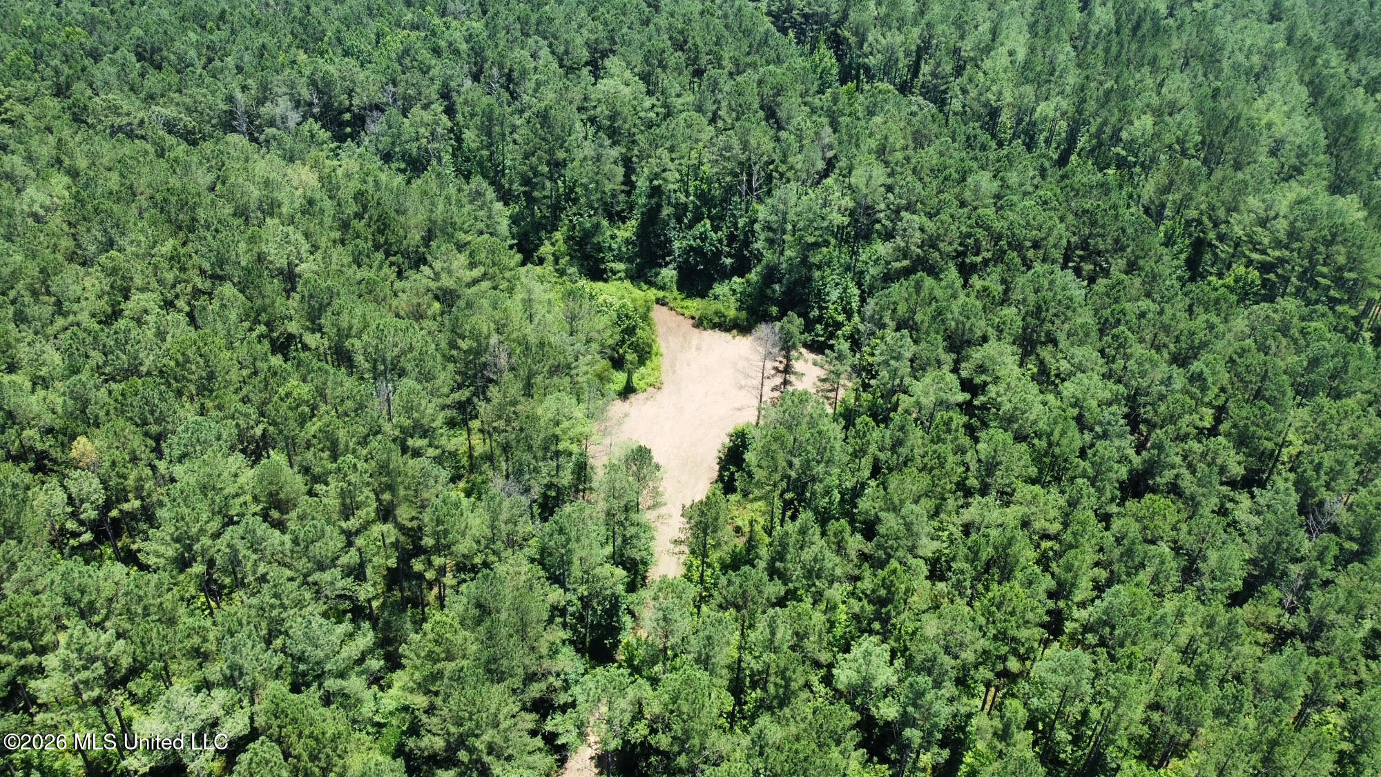 Hwy 43 Highway Property Photo 23