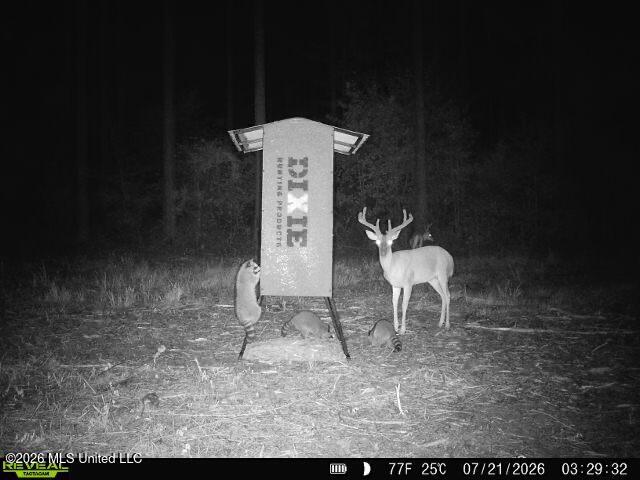 Hwy 43 Highway Property Photo 25
