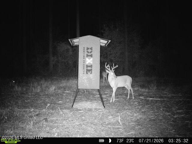Hwy 43 Highway Property Photo 26