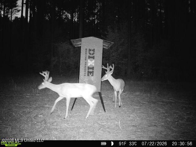 Hwy 43 Highway Property Photo 27