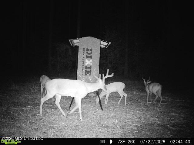 Hwy 43 Highway Property Photo 28