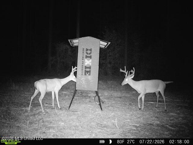 Hwy 43 Highway Property Photo 29