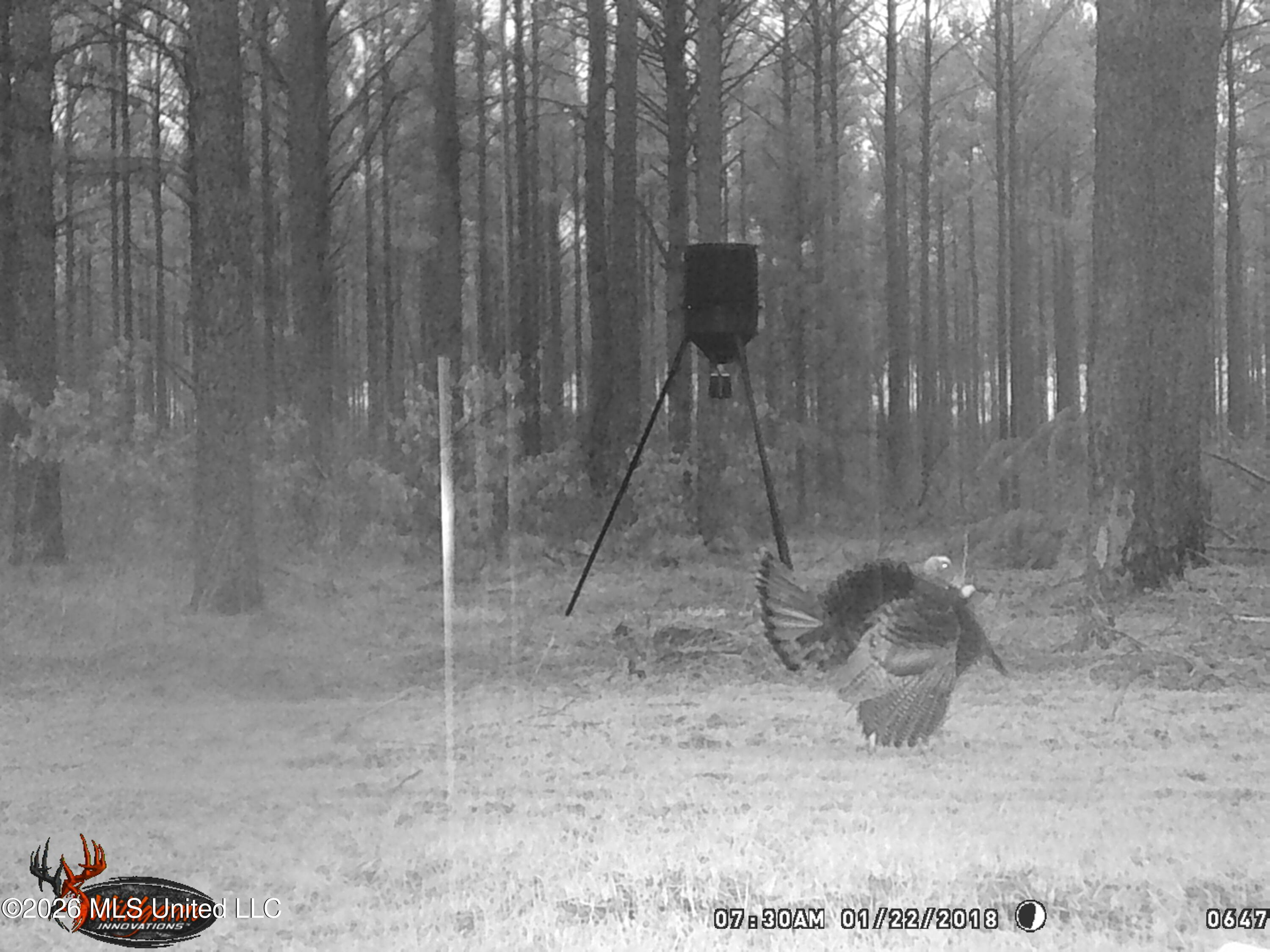 Hwy 43 Highway Property Photo 33