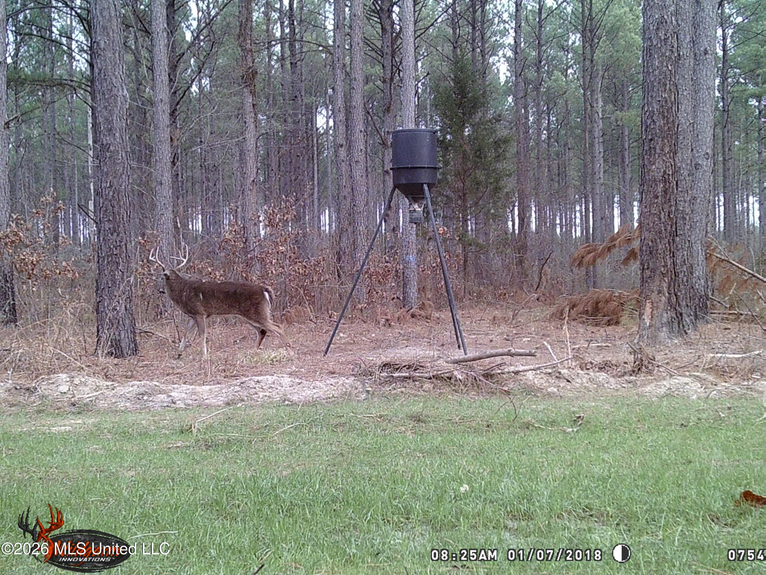 Hwy 43 Highway Property Photo 37
