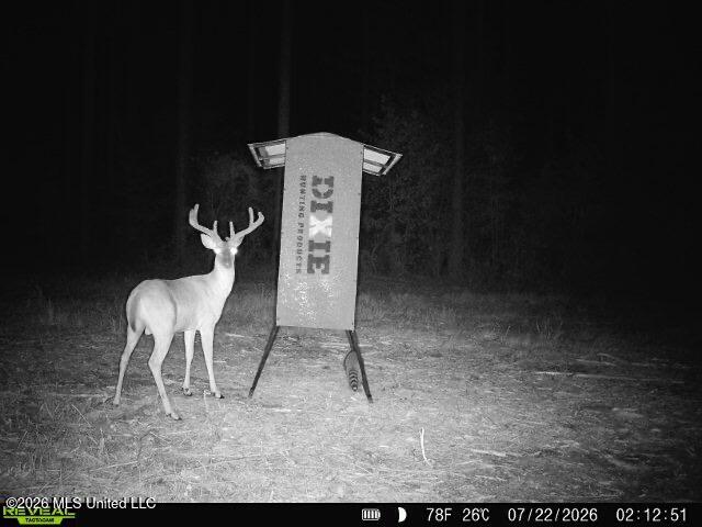 Hwy 43 Highway Property Photo 20