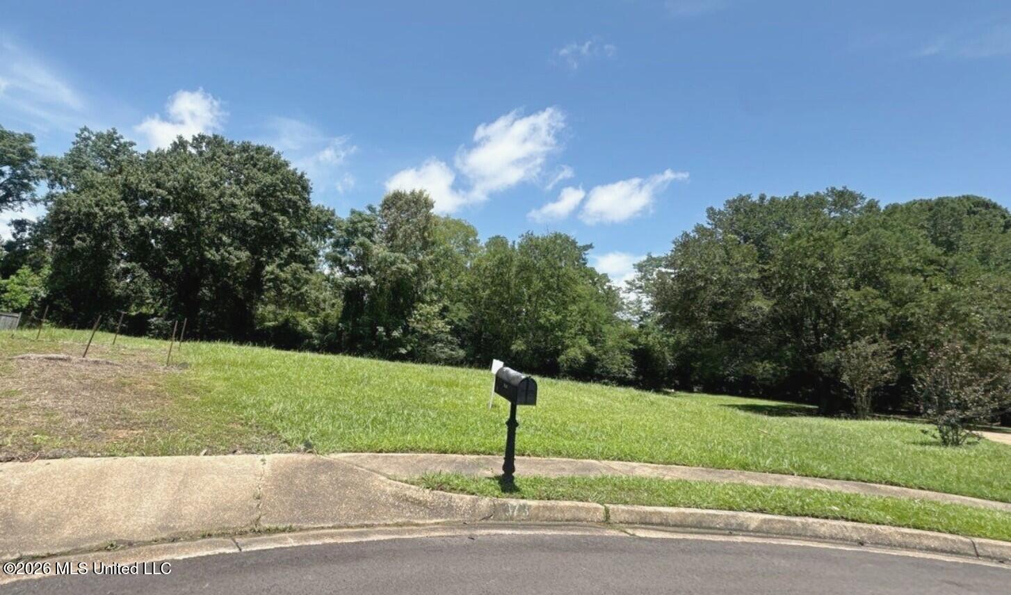 373 Red Eagle Circle Property Photo 2
